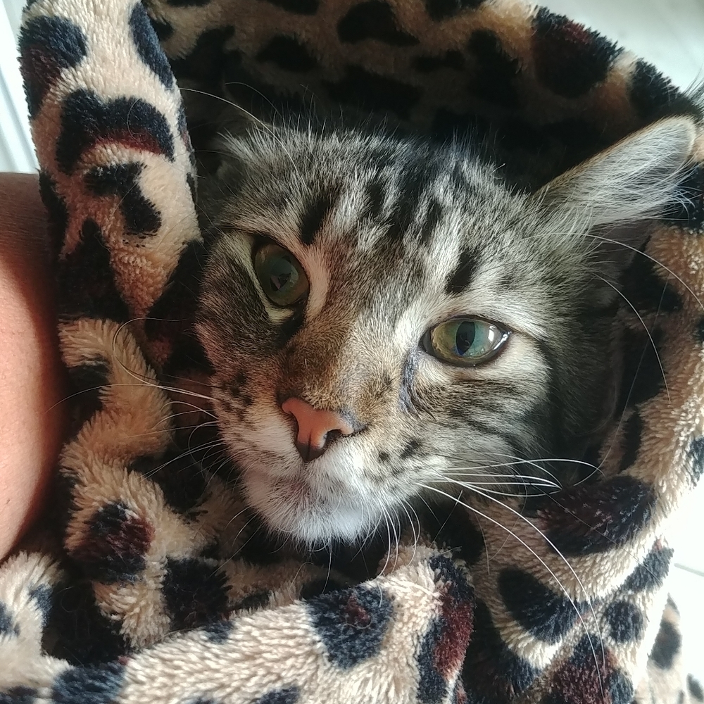 Meet your Posher, Rose marie